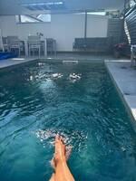 Kedjehus i Sibbarp /Limhamn 