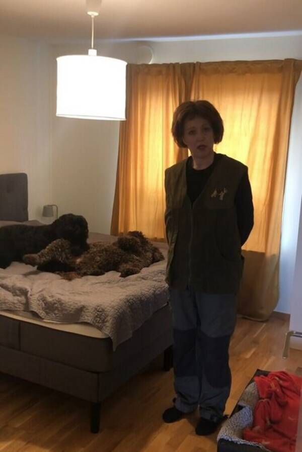 Hund - Sheila,  Australian Cobberdog  20kg