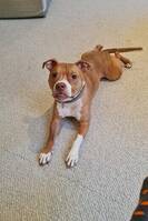 Bland staffen Junior