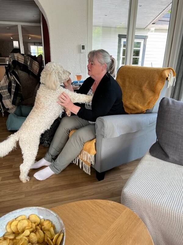 Hund - Lilly 1,5 år