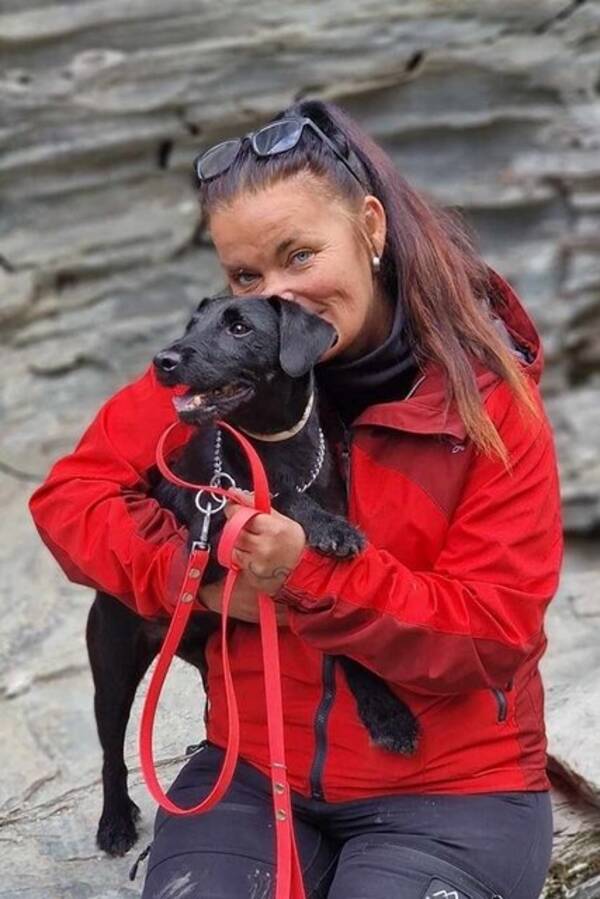 Hund - Tyska jaktterriern Diezel