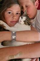 Katterna heter: Asllani (mamman) Kylian 