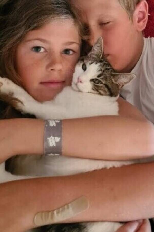 Katt - Katterna heter: Asllani (mamman) Kylian 