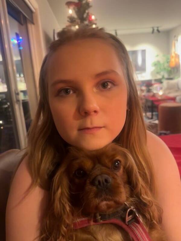 Hund - Cavalieren Nova 