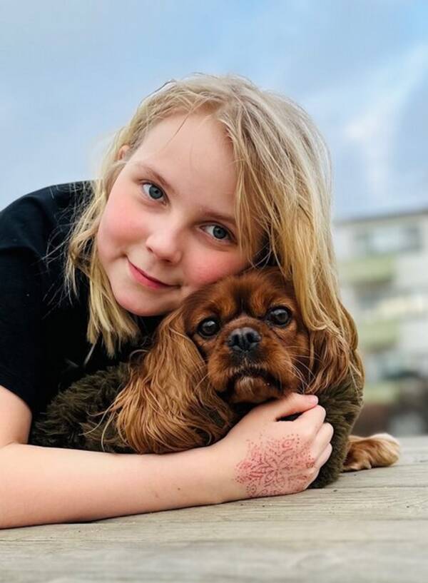 Hund - Cavalieren Nova 