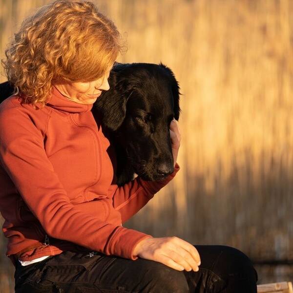 Hund - Oscar II, flatcoated retriever 