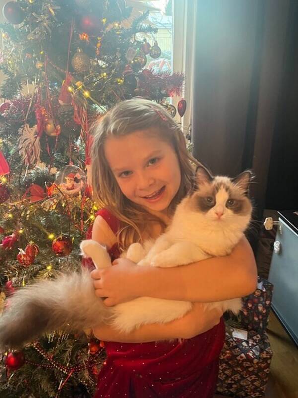 Katt - Katten Kenzie 