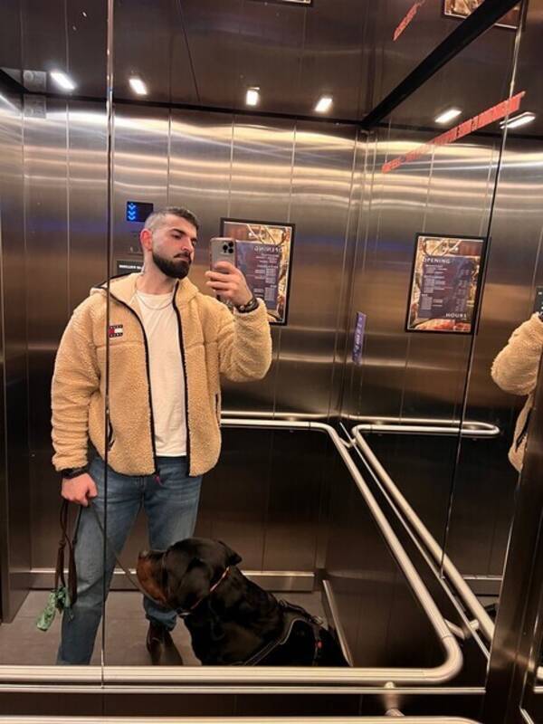 Hund - Rottweiler Baloo