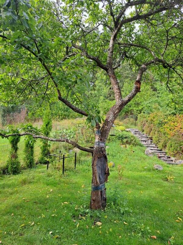 Hus - Villa Stockholm