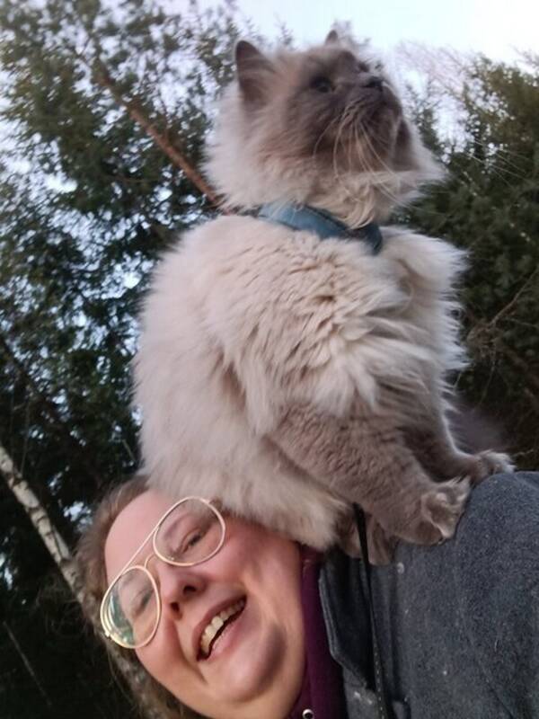 Katt - Busgubben Wilde & nyfikna Elsa