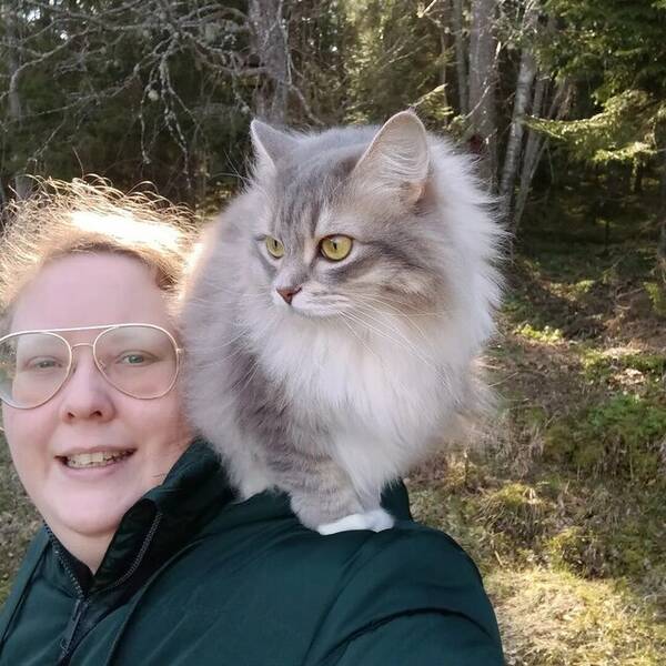 Katt - Busgubben Wilde & nyfikna Elsa