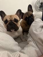 Våra två prinsessor