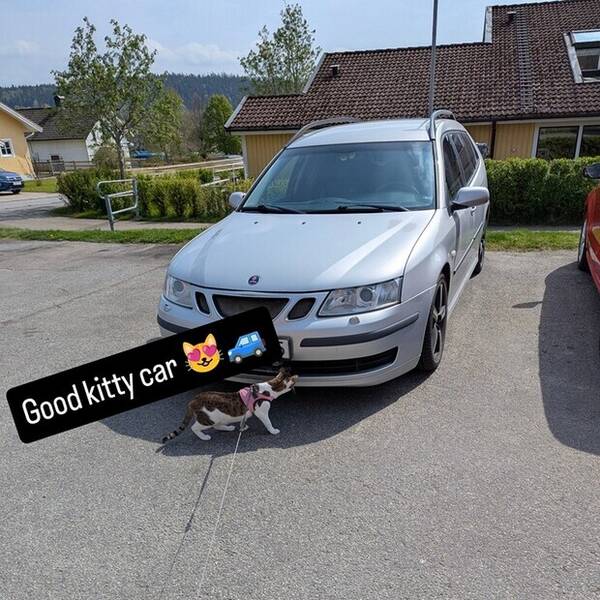 Fordon - Saab 93 Sport Combi 