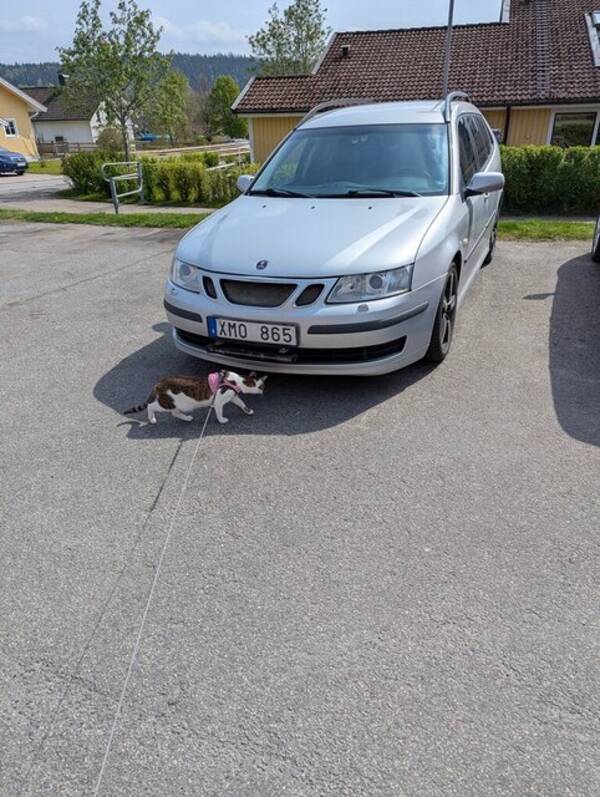 Fordon - Saab 93 Sport Combi 