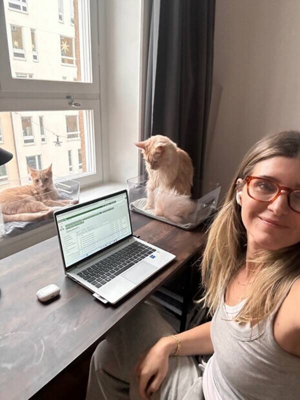 Katt - Ljus orange katt Ariel