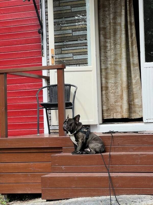 Sommarstuga - Sommarstuga 