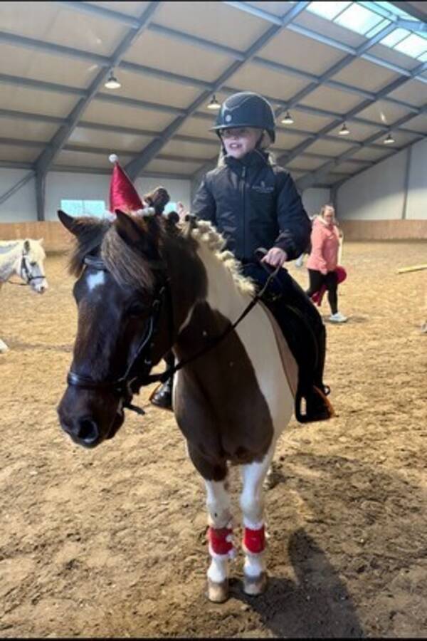 Annet - Ponnien Flash