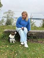 Shih Tzu, bichon havanais,  cocker spani