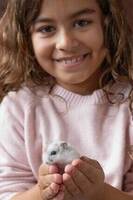 Harry Hamster Harry Hamster