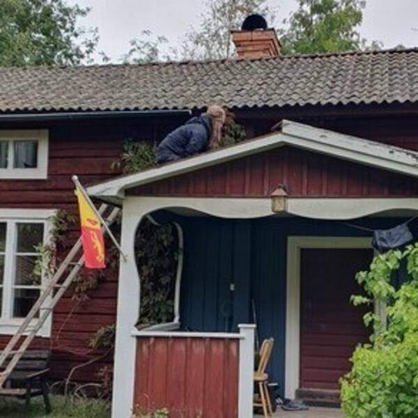 Sommarstuga - Sommarstuga i Bjursås, Dalarna
