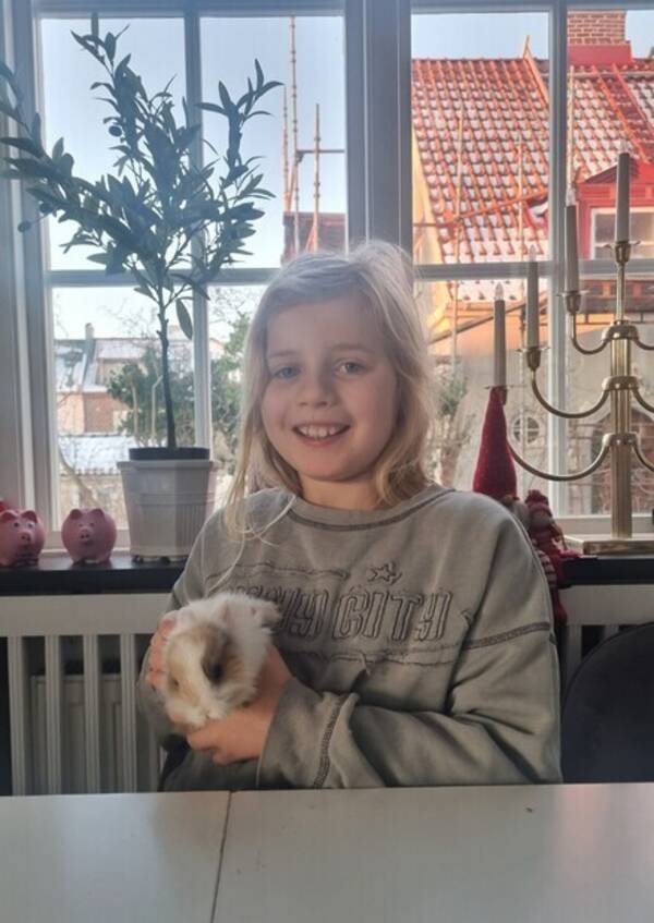 Övrigt - kanin Smulan och hunden Sivan