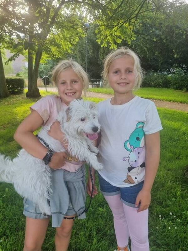 Övrigt - kanin Smulan och hunden Sivan