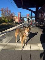 Müsli 13 år och Molly 9 år