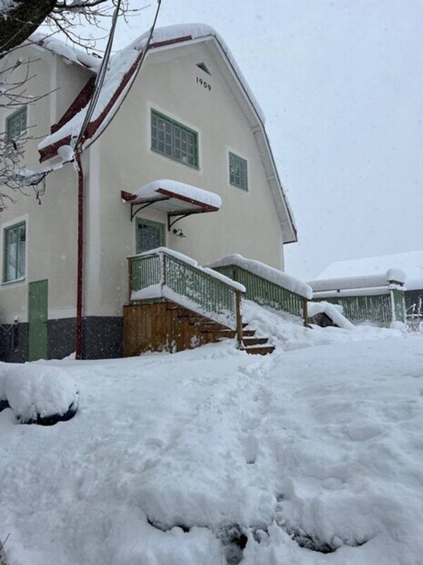 Hus - Sekelskifteshus