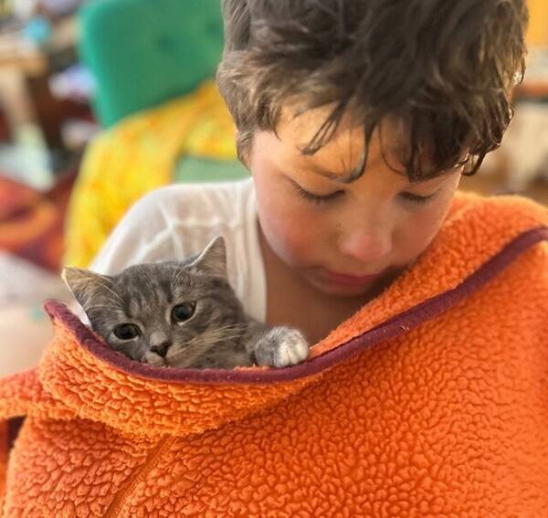 Katt - Trixie och Pilo 