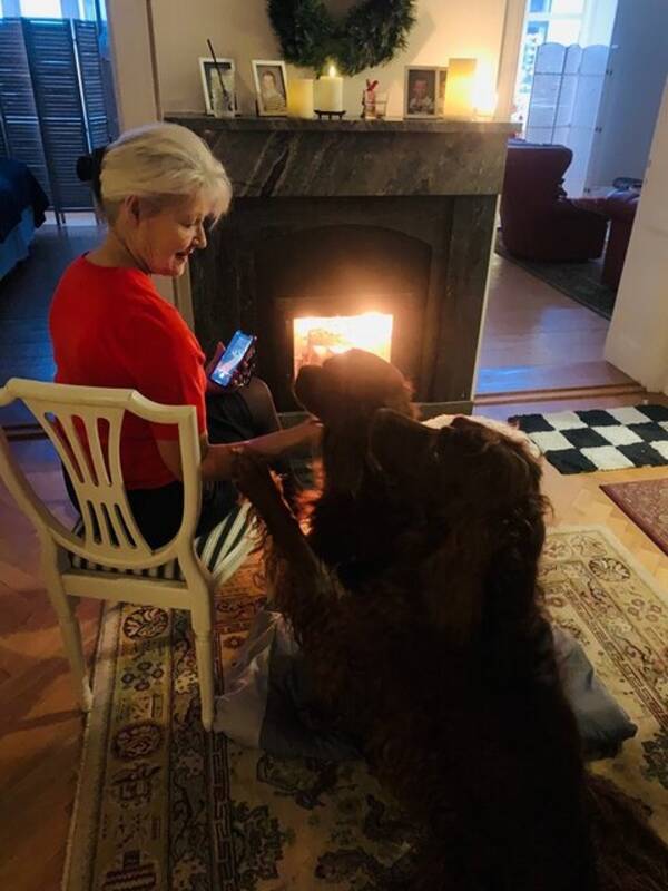 Hund - Julius och Gottfrid 