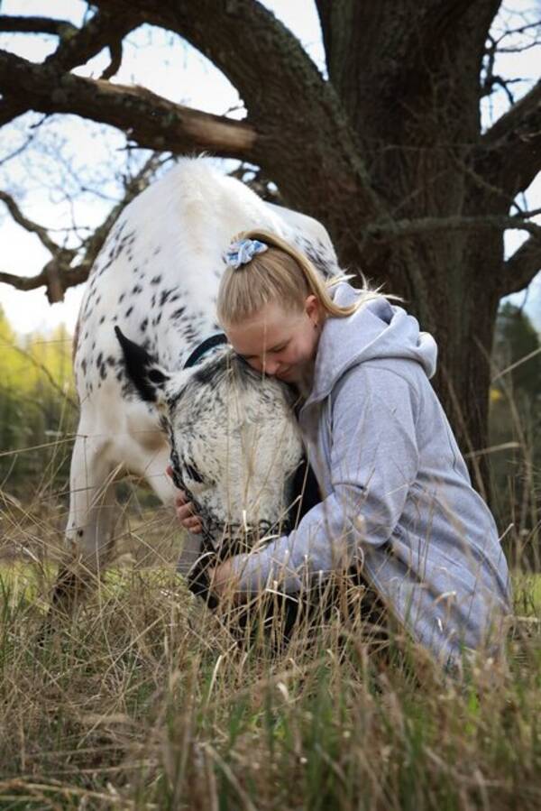 Övrigt - Fjällkossan Clara