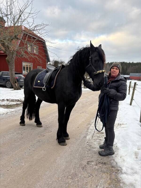 Övrigt - Frieser tyr