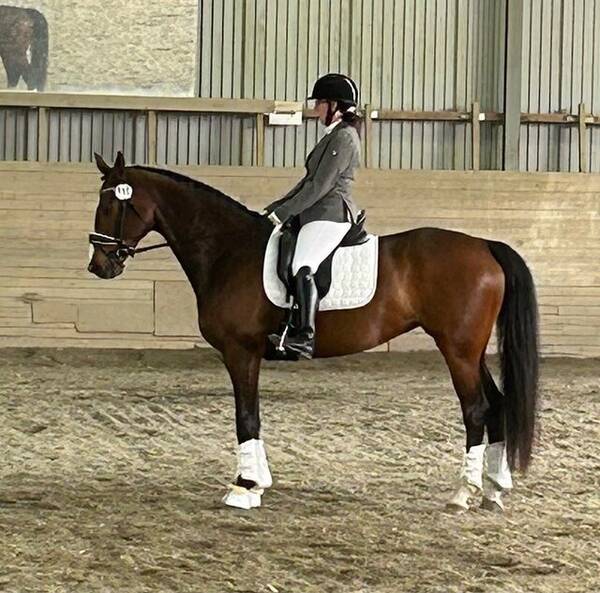 Övrigt - Hästen Athena