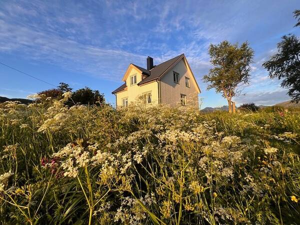 Annet - Småbruk Kjerringøy, Bodø kommune