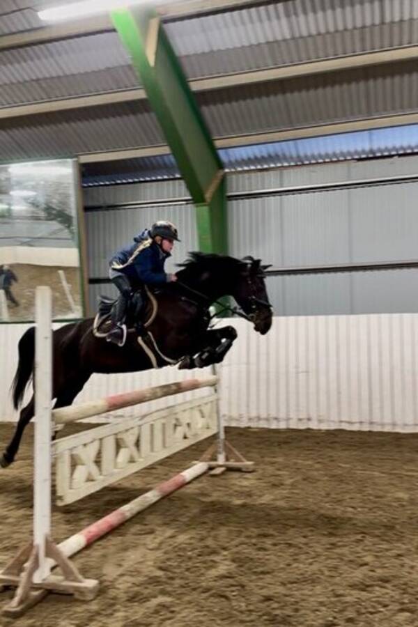 Revisitter - Utstyr for hest og rytter