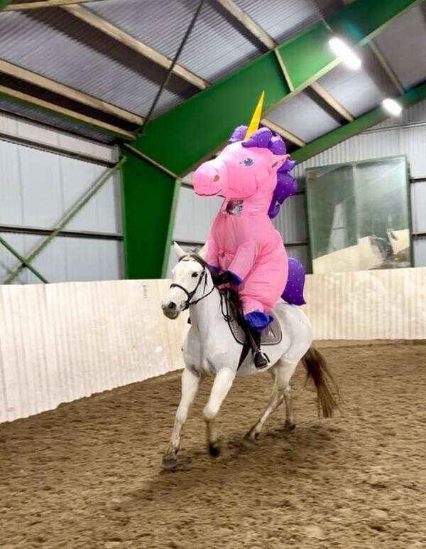 Revisitter - Kostyme