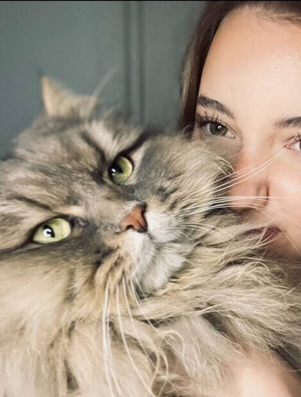 Katt - Allergivennlig katt