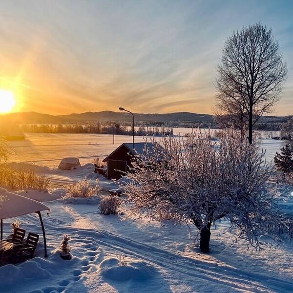 Hus - Hus på landet. 