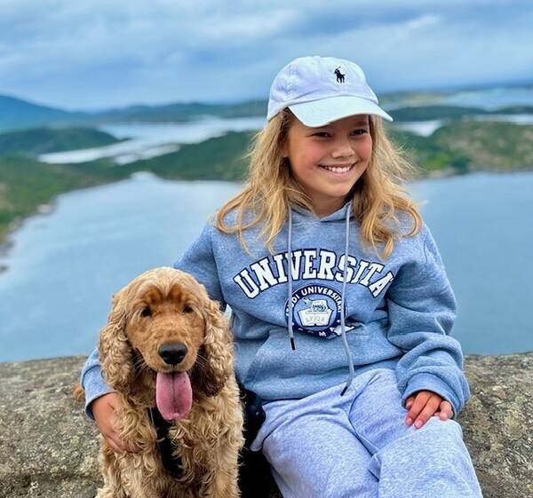 Hund - Engelsk Cocker Spaniel 3