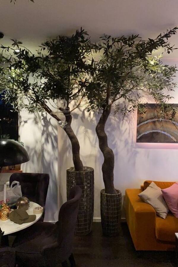 Lägenhet - Östermalm