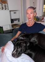 Har två amstaffpitbullblandningar. Super