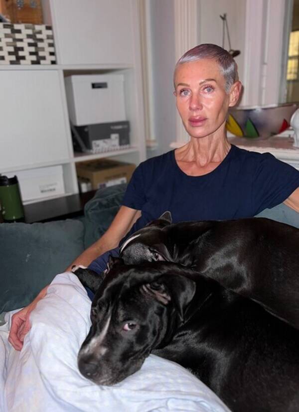 Hund - Har två amstaffpitbullblandningar. Super