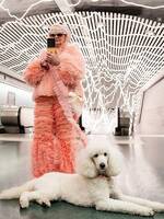 Måna, Storpudel/Kungspudel