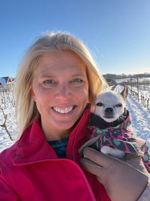 Hund - Chihuahua Coco Chanel 