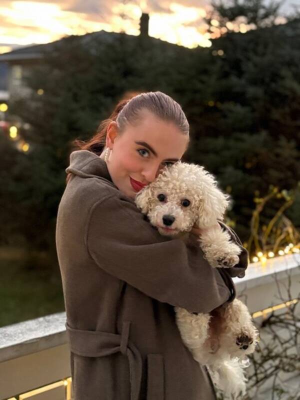 Hund - Bichon Frise Lucas 