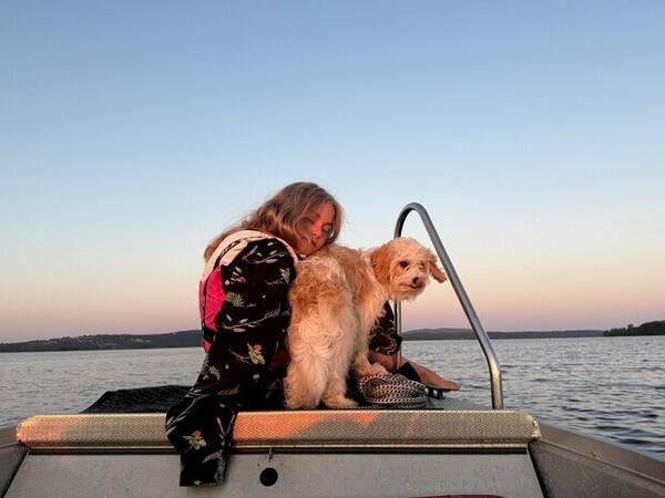 Hund - Cavapoo Freya