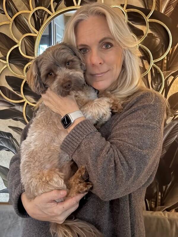 Hund - Bichon Havanais Beppe