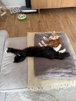 Kira och Nomi Kira och Nomi