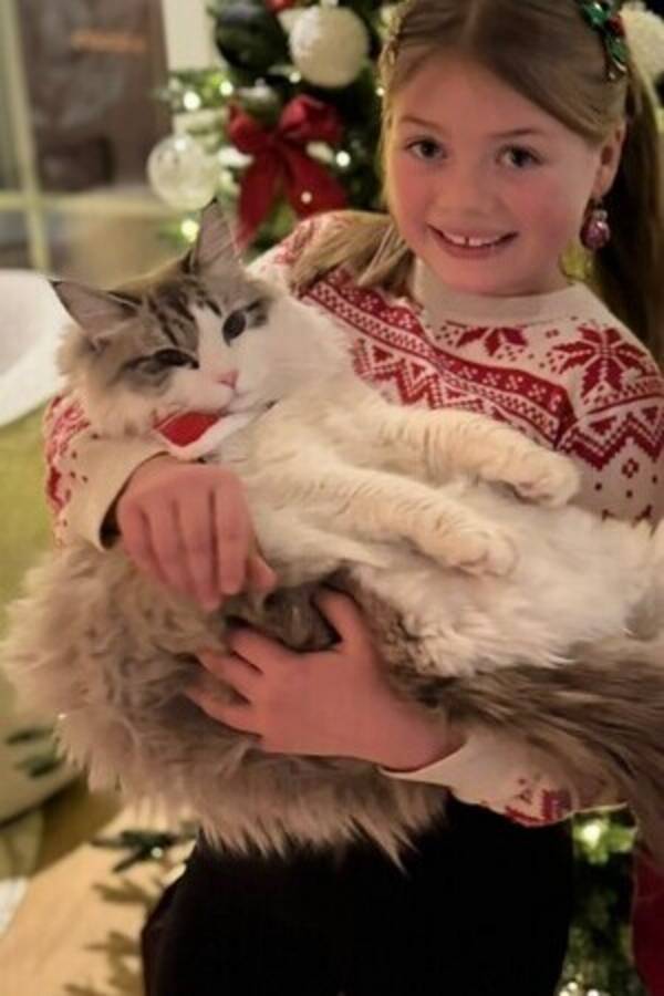 Katt - Neva Masqurade 