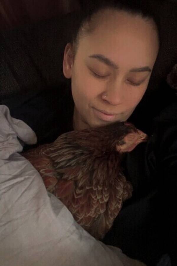 Övrigt - Hönan Annapanna